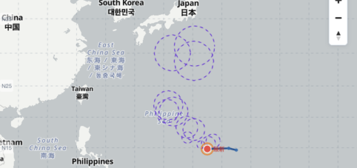 2026年 台風8号（ヒーゴス