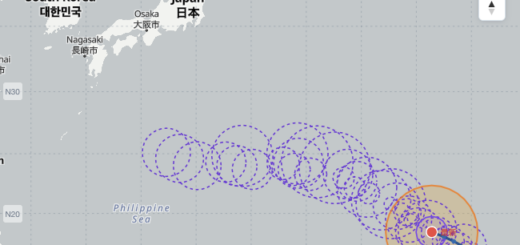 台風13号ドルフィン