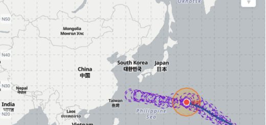 台風13号ドルフィン