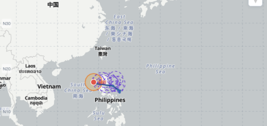 台風14号クジラ